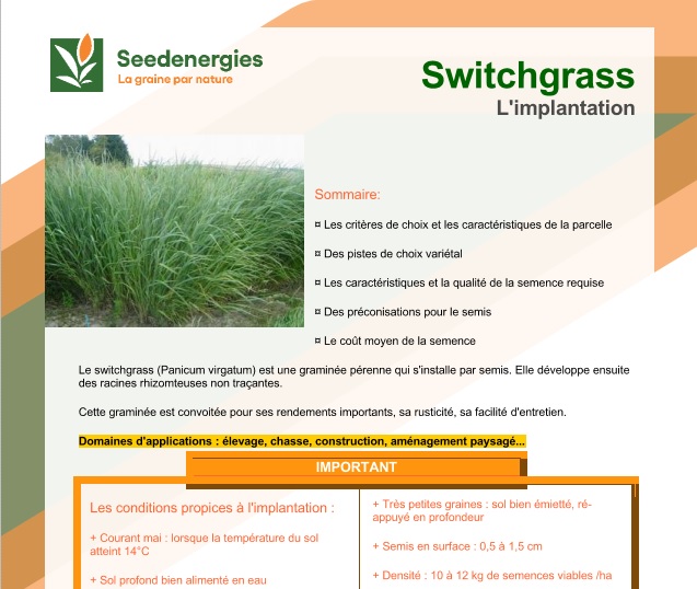 L'implantation du switchgrass