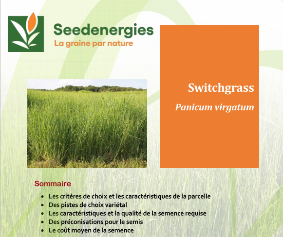 Fiche switchgrass seedenergies